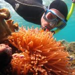 Australia - Queensland - Great Barrier Reef