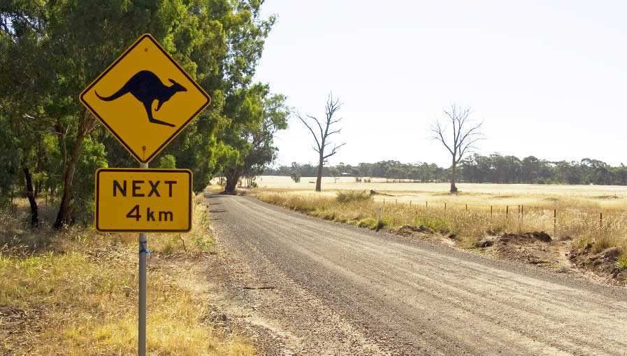 Kangaroo Next 4 km - Australian road sign on a  country road