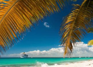 Catalina Island - La Romana - Dominican Republic - cruise ship near the shore with a palm