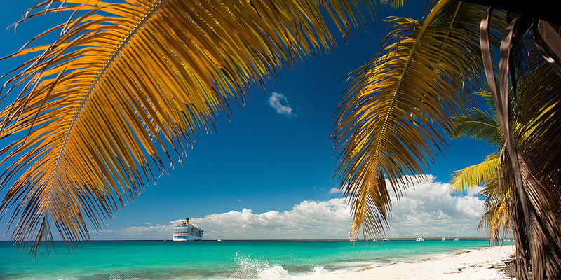 Catalina Island - La Romana - Dominican Republic - cruise ship near the shore with a palm