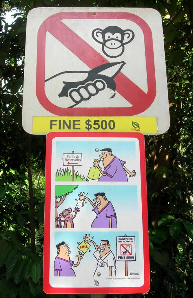 A "do not feed the monkeys" sign at the Bukit Timah Nature Reserve, Singapore