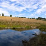 Kyneton-Botanical-Gardens-day-trip-MelbourneWP_20170326_13_58_18_Pro__highres_e