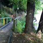 Kyneton-Botanical-Gardens-day-trip-MelbourneWP_20170326_14_20_46_Pro__highres_e
