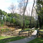 Kyneton-Botanical-Gardens-day-trip-MelbourneWP_20170326_14_43_32_Pro__highres_e