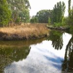 Kyneton-Botanical-Gardens-day-trip-MelbourneWP_20170326_14_51_22_Pro__highres_e