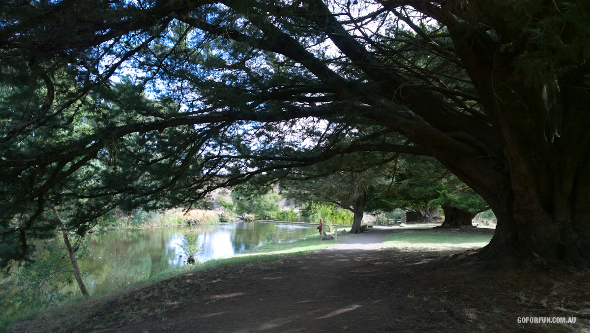 Kyneton-Botanical-Gardens-day-trip-MelbourneWP_20170326_15_05_47_Pro__highres_e