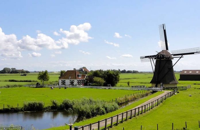 Netherlands - landscape photo - green fields - mill