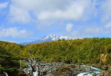 Mahuia River Rapids on the Whakapapanui Stream, Tongariro National Park, New Zealand