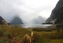 Milford Sound, New Zealand - Travel New Zealand for Australians