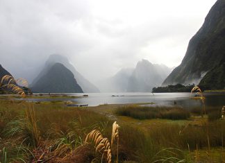 Milford Sound, New Zealand - Travel New Zealand for Australians