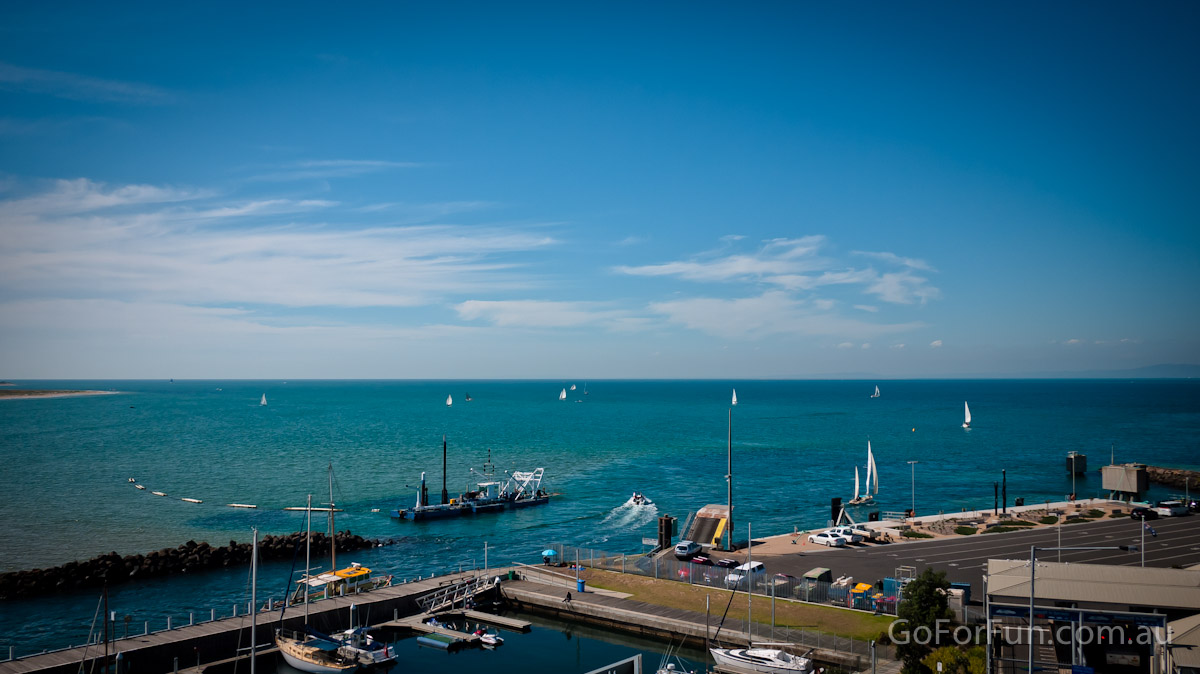 Port Phillip Bay - Eco Boat Discovery Tour - Queenscliff Harbour - South Bay Eco Adventures - seal - gannet - sea