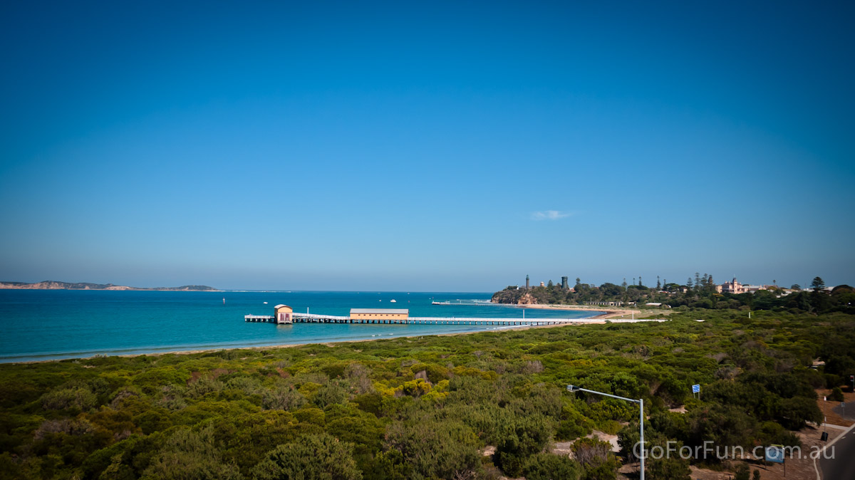 Port Phillip Bay - Eco Boat Discovery Tour - Queenscliff Harbour - South Bay Eco Adventures - seal - gannet - sea