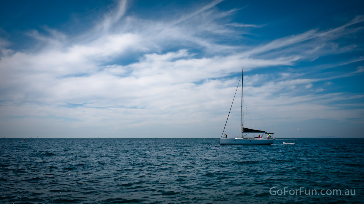 Port Phillip Bay - Eco Boat Discovery Tour - Queenscliff Harbour - South Bay Eco Adventures - seal - gannet - sea