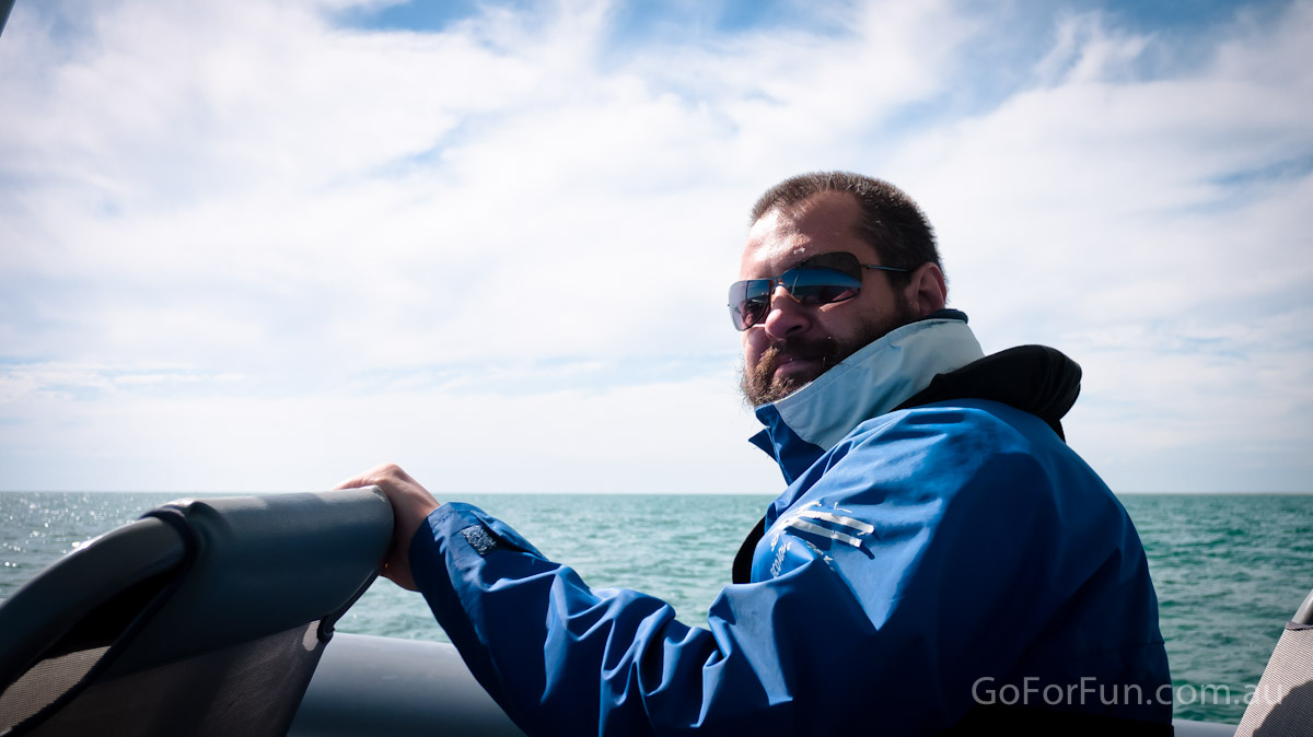 Port Phillip Bay - Eco Boat Discovery Tour - Queenscliff Harbour - South Bay Eco Adventures - seal - gannet - sea