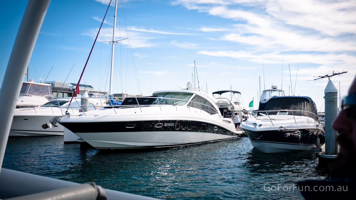 Port Phillip Bay - Eco Boat Discovery Tour - Queenscliff Harbour - South Bay Eco Adventures - seal - gannet - sea