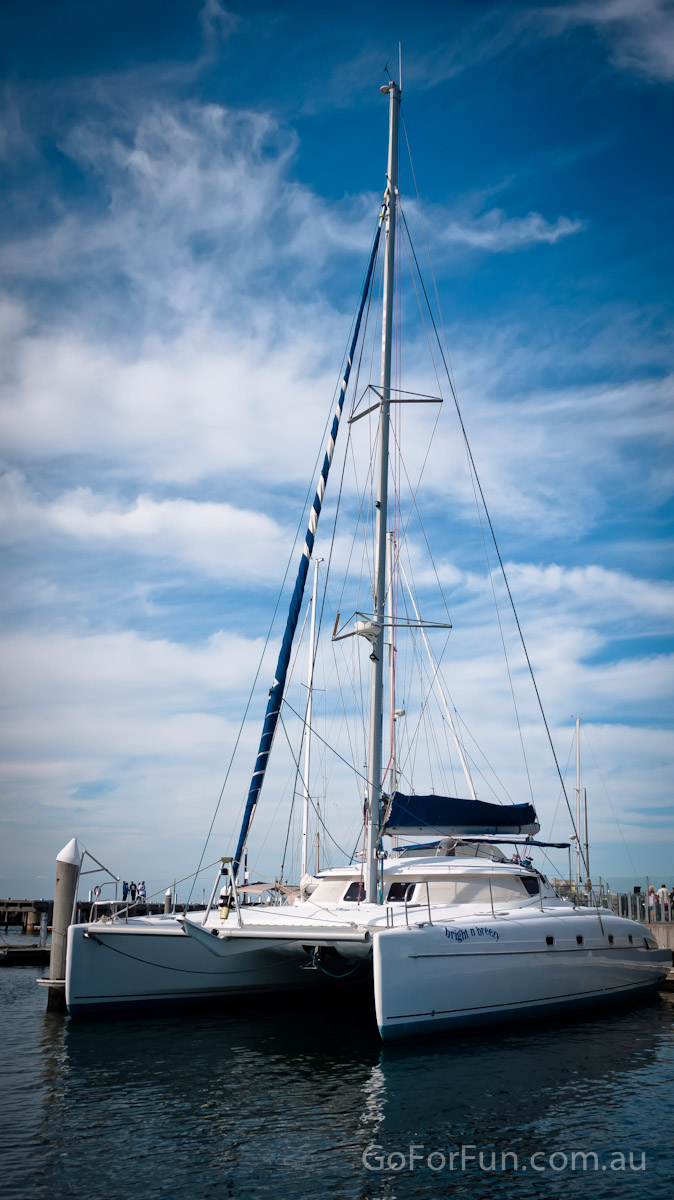 Port Phillip Bay - Eco Boat Discovery Tour - Queenscliff Harbour - South Bay Eco Adventures - seal - gannet - sea