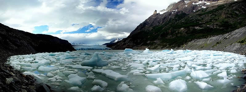 Icebergs calved by Grey Glacier (seen in the background),  Torres del Paine National Park, Chile