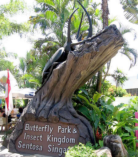 Singapore - Butterfly Park and Insect Kingdom - Sentosa