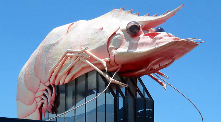 The Big Prawn - Ballina - NSW - Australia | Australian Travel & Photography Inspiration - Go For Fun