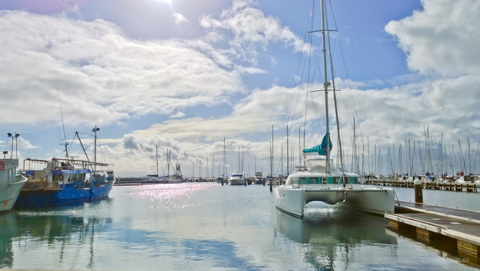 Royal Geelong Yacht Club - sailing - sailboat racing - Davidsons Winter Series - Race 1