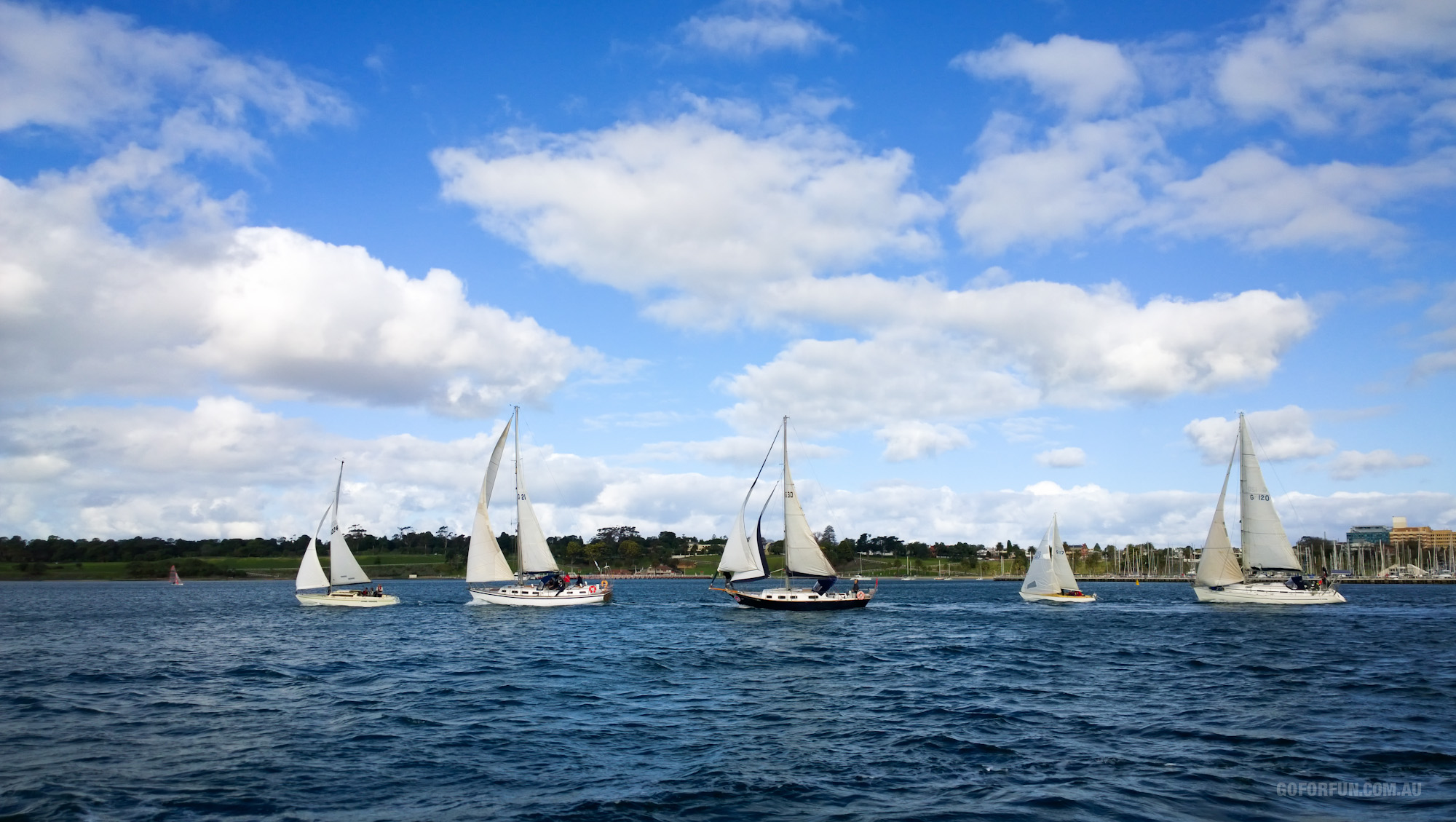 Royal Geelong Yacht Club - sailing - sailboat racing - Davidsons Winter Series - Race 1