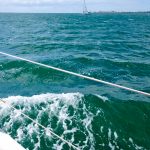 WP_20170401_13_06_33_Pro__highres_sailing-sailboat-climbing-yacht-mast-first-time-bosuns-chair-spinnaker-corio-bay-geelong