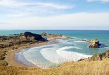 Travel - Castle Point Bay - Wellington - New Zealand