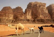 Travel - Jordan - Jordaania - Wadi Rum - Desert