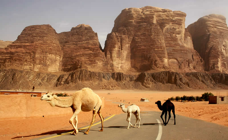 Travel - Jordan - Jordaania - Wadi Rum - Desert | Australian Travel & Photography Inspiration - Go For Fun