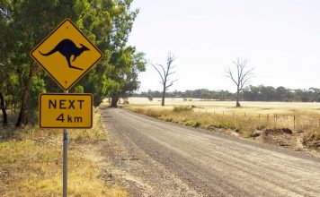 Kangaroo Next 4 km - Australian road sign on a country road