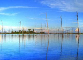 Balbina Dam (Usina Hidreletrica de Balbina), in Amazon, Brazil