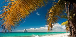 Catalina Island - La Romana - Dominican Republic - cruise ship near the shore with a palm