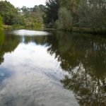 Kyneton-Botanical-Gardens-day-trip-MelbourneWP_20170326_14_57_53_Pro__highres_e
