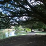 Kyneton-Botanical-Gardens-day-trip-MelbourneWP_20170326_15_05_47_Pro__highres_e