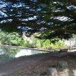 Kyneton-Botanical-Gardens-day-trip-MelbourneWP_20170326_15_11_52_Pro__highres_e