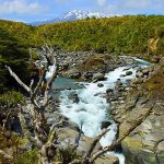 Mahuia River Rapids on the Whakapapanui Stream, Tongariro National Park, New Zealand