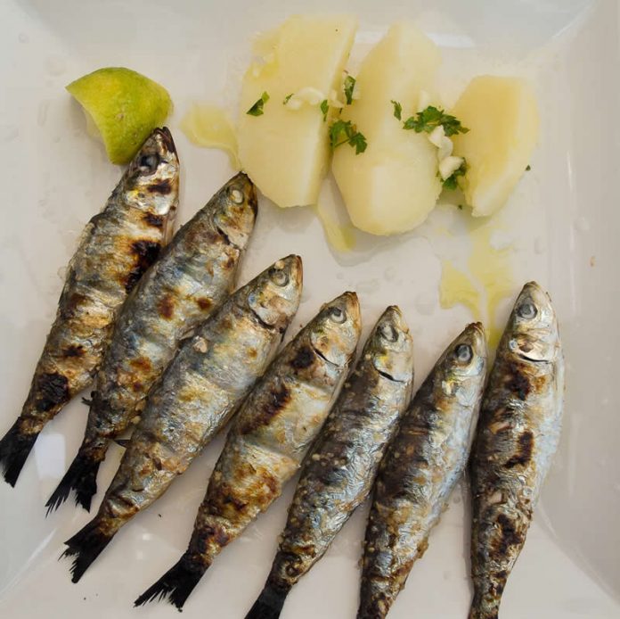 Portugal - Faro food - Fish