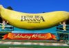 Queensland - Big Banana - Coffs Harbour