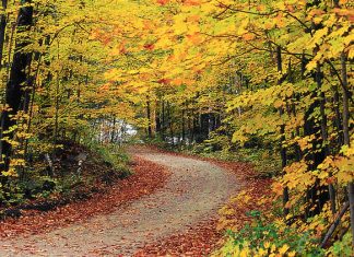 Green Mountain National Forest - Hapgood Pond Recreation Area