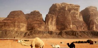 Travel - Jordan - Jordaania - Wadi Rum - Desert