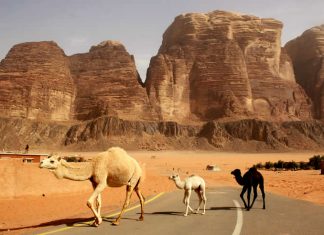 Travel - Jordan - Jordaania - Wadi Rum - Desert